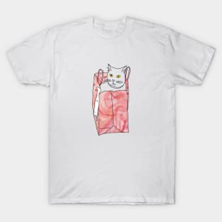 Cat's in the painted bag! T-Shirt